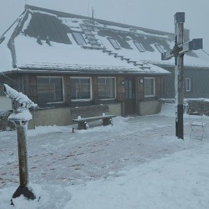 Hvozd
