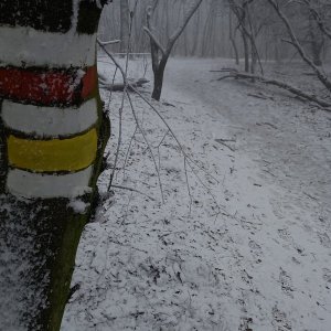 Na hrad Devín, kam přijdeš o 15 minut pozdě