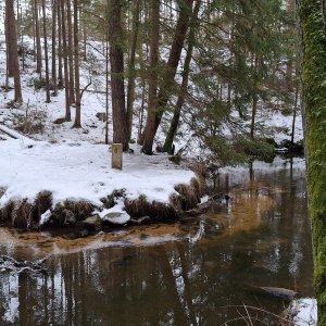 Česká Kanada 17 km