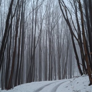 Smrčná - Jihlava 14 km