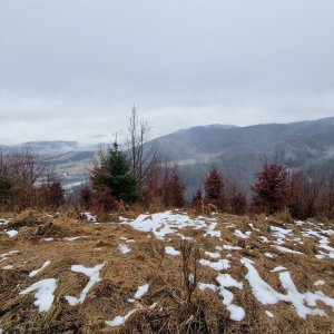 Bôrová