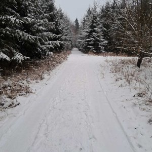 Petříkov