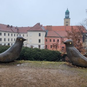 Oldřišov - Opava