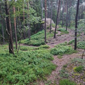 Polesí -  Hrádek nad Nisou