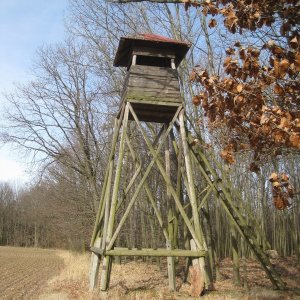 Bolatice - Bohuslavice