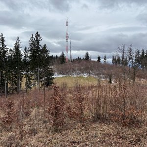 Skopiec-Baraniec