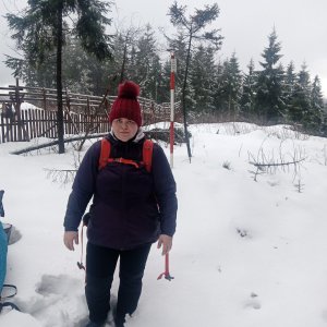 Šumava