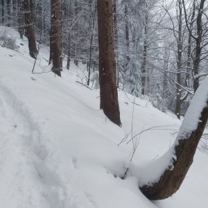 Čupel