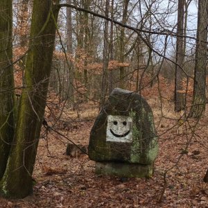 Velemín - Kostomlaty pod Milešovkou