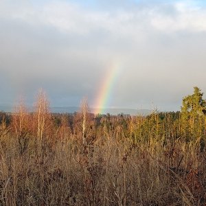 Vysoká Srbská - Hronov