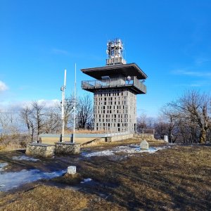 Luž