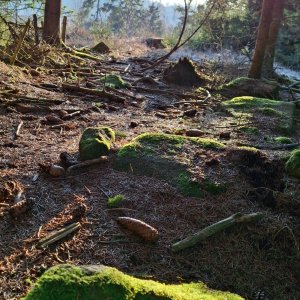 Pelhřimov - Křemešník 30 km