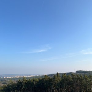 Afternoon Walk