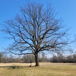 Starý Jičín - Suchdol