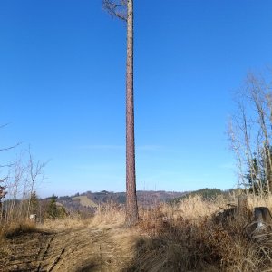 Hostýnsko-vsetínská hornatina