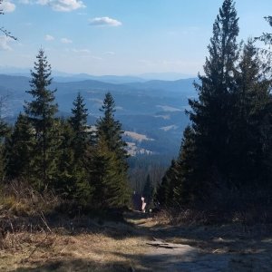 Jablunkovské mezihoří