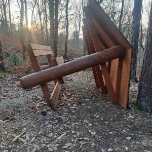Jedliny
