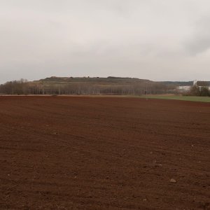 Plaská pahorkatina