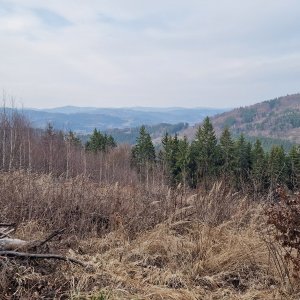 Žár