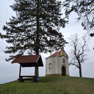Jarní Vysočinou 50 km