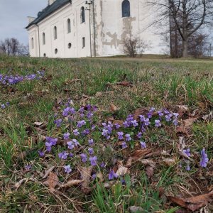 Uhlířský vrch 