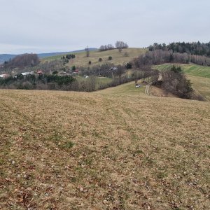 Skálie