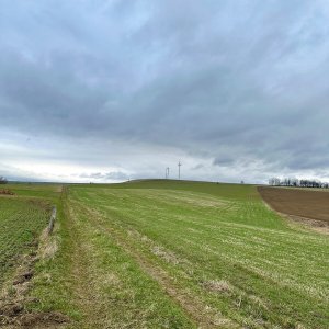 Jívová ☁️🌬️🐰🌱