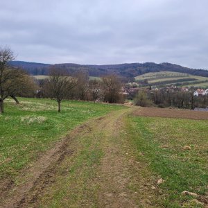 Pitín - Nezdenice