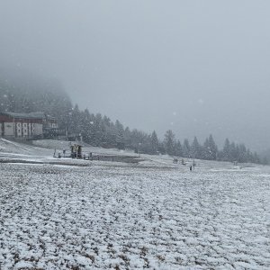Málinô, Vtáčnik