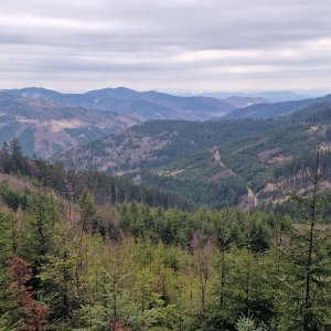 Kopšovec, Hrčovec, Bučovec
