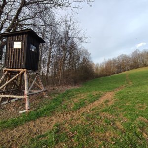 Podbeskydská pahorkatina