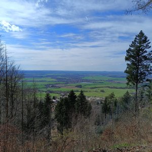 Afternoon Hike