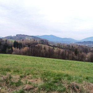 Na kole - Olešná a kopečky cestou