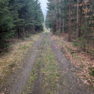 Moravskoslezské Beskydy