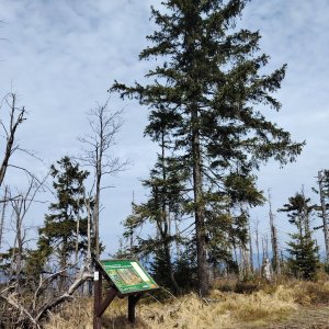 Czech Trail/Stezka Ceskem 12.04.26 8:22