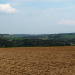 Plaská pahorkatina
