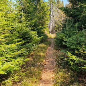 Moravskoslezské Beskydy
