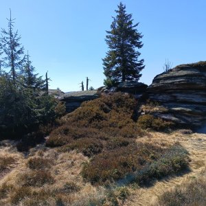 Morning Hike