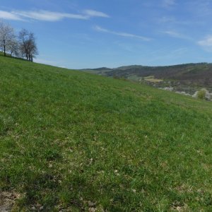 Závod "Tišnovské kozy" a hradisko Čepička.