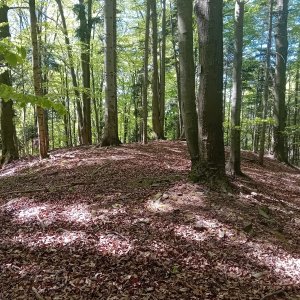 Záriečie - Kýčera - Lysá pod Makytou