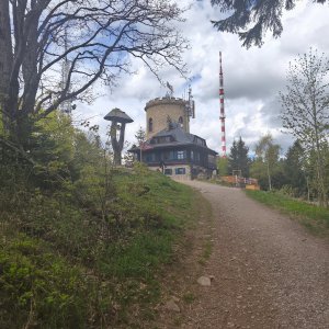 Kleť