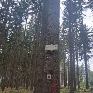 Ústí nad Orlicí - Dolní Dobrouč