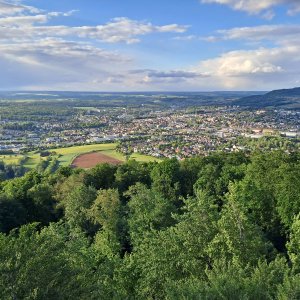 Langert