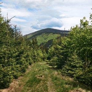 Malá Stolová - Čertův mlýn - Magurka - Grúň