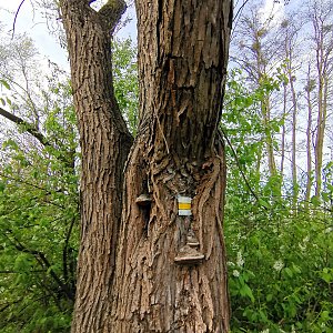 S barfem na Hůru a Končinu