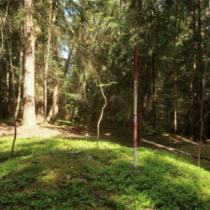 Šumavské podhůří