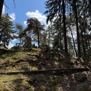 Morning Hike