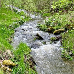 Vysoká Roudná a Dalov ☁️💦🌬️🌱