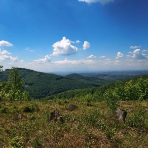 Zebrzydka - Błatnia - Palenica - Bucznik