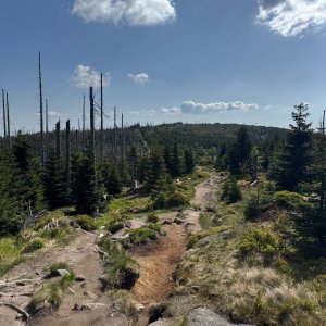 Šumava